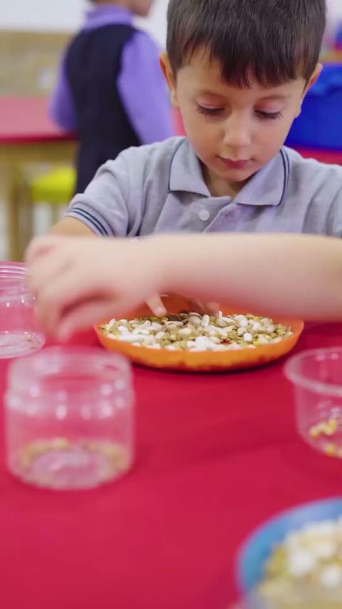 A day at school, Al Hasaad Schools